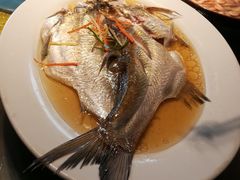 清蒸太湖白鱼-漫渡庄绿岛花园•隐世庭园菜(滨湖店)