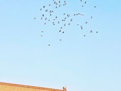 -东华门大街小区