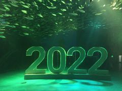 -上海海昌海洋公园