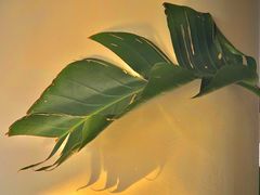 -ChanDu躔度咖啡(灯塔店)