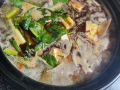 -老杨砂锅鱼庄