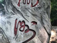 -小洲村