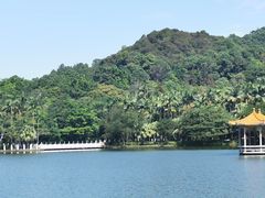 -西樵山风景名胜区-天湖公园