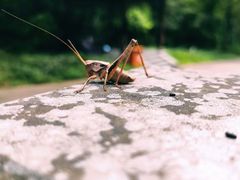 -宁波五龙潭景区