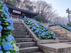 -苏州上方山国家森林公园