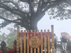 -武当山风景区