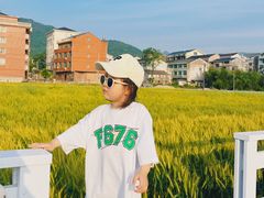 -楠溪江风景名胜区