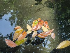-大千画院(福田校区)