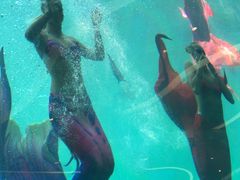 -瑞德姆美人鱼海底演艺主题餐厅(亚龙湾店)