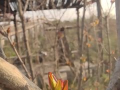 -处女泉风景名胜区