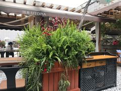 -时光乌托邦空中花园餐厅川味·融合菜(幸福广场店)