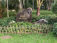 -呀诺达热带雨林