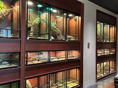 -帕帕拉兹宠物(亚洲旗舰店)