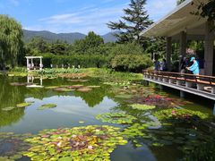 -国家植物园南园