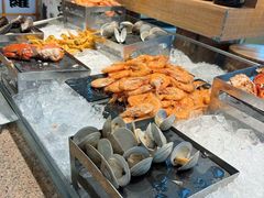 -视界美食自助餐厅·石家庄希尔顿酒店