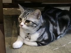 -咖法森林·咖啡  酒吧(天河店)