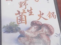 -菌之家·专业纯野生菌火锅·特色炒菌
