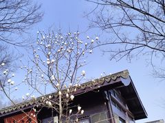 -高子水居