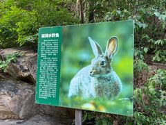 -湖洞水自然风景区