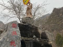 -大岭沟猕猴桃谷风景区