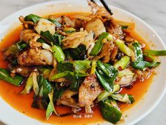 回锅肉-陈麻婆豆腐总店