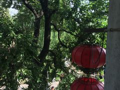 -桃源村(老门东店)