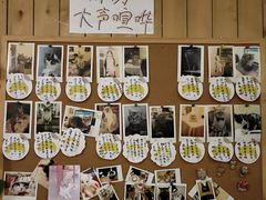 -猫色咖啡·猫咖