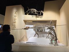 -国家自然博物馆