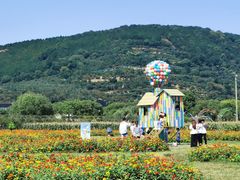 -苏州太湖西山岛开心农场
