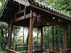 -中国大熊猫保护研究中心雅安碧峰峡基地