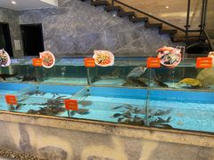 水产区-饭怕鱼(阳光100店)