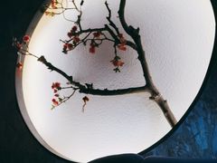 -君悦会影院足道·SPA•推拿(江桥店)
