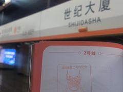 -奥体中心(地铁站)