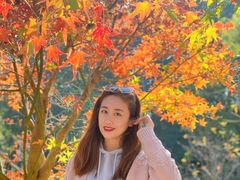 -田野绿世界