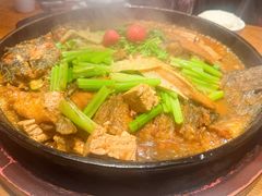 -老板恋上鱼(恒隆广场店)