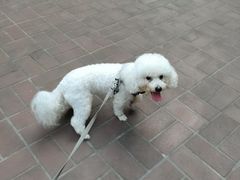 -嘉美宠物医院