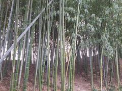 -水绘园