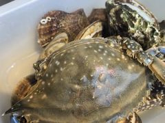 -蓝珊甄选海鲜自助·火锅大排档(近阿那亚店)
