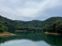 -鼎湖山风景区