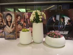 -百丽宫影城(CGS激光苏宁广场店)