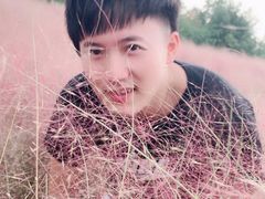 -大塘金香草谷