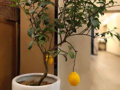 -五观堂素食(新华路店)