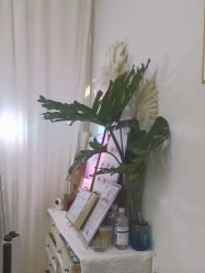 -UN·桃喜日系美睫美甲