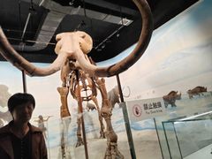 -辽宁古生物博物馆