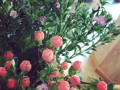 -春暖花开(西溪店)
