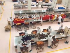 景点-歌斐颂巧克力小镇