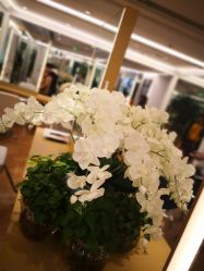 -In Style造型