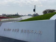 -荷兰花海