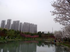 -堤角公园