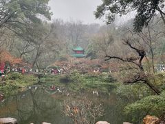 -岳麓山风景名胜区